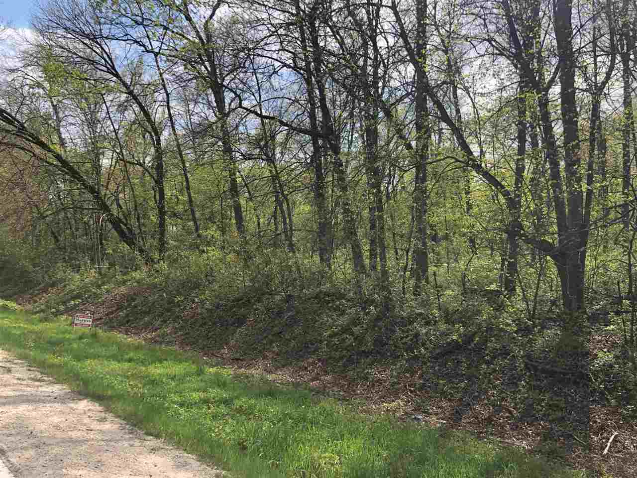 W42 County Road Decorah, IA 52101 - Photo 2 of 4 Gallery Image 2