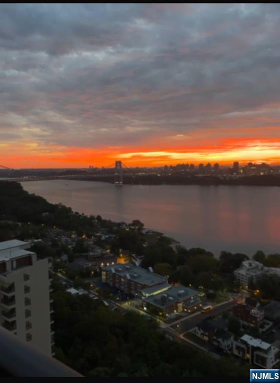 6 Horizon Road, Unit 2207 Fort Lee, NJ 07024 - Photo 5 of 42