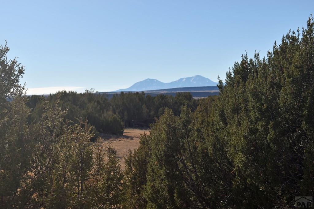 Lot 100 Narrow Gauge Way Rye, CO 81069 - Photo 21 of 42 Gallery Image 21
