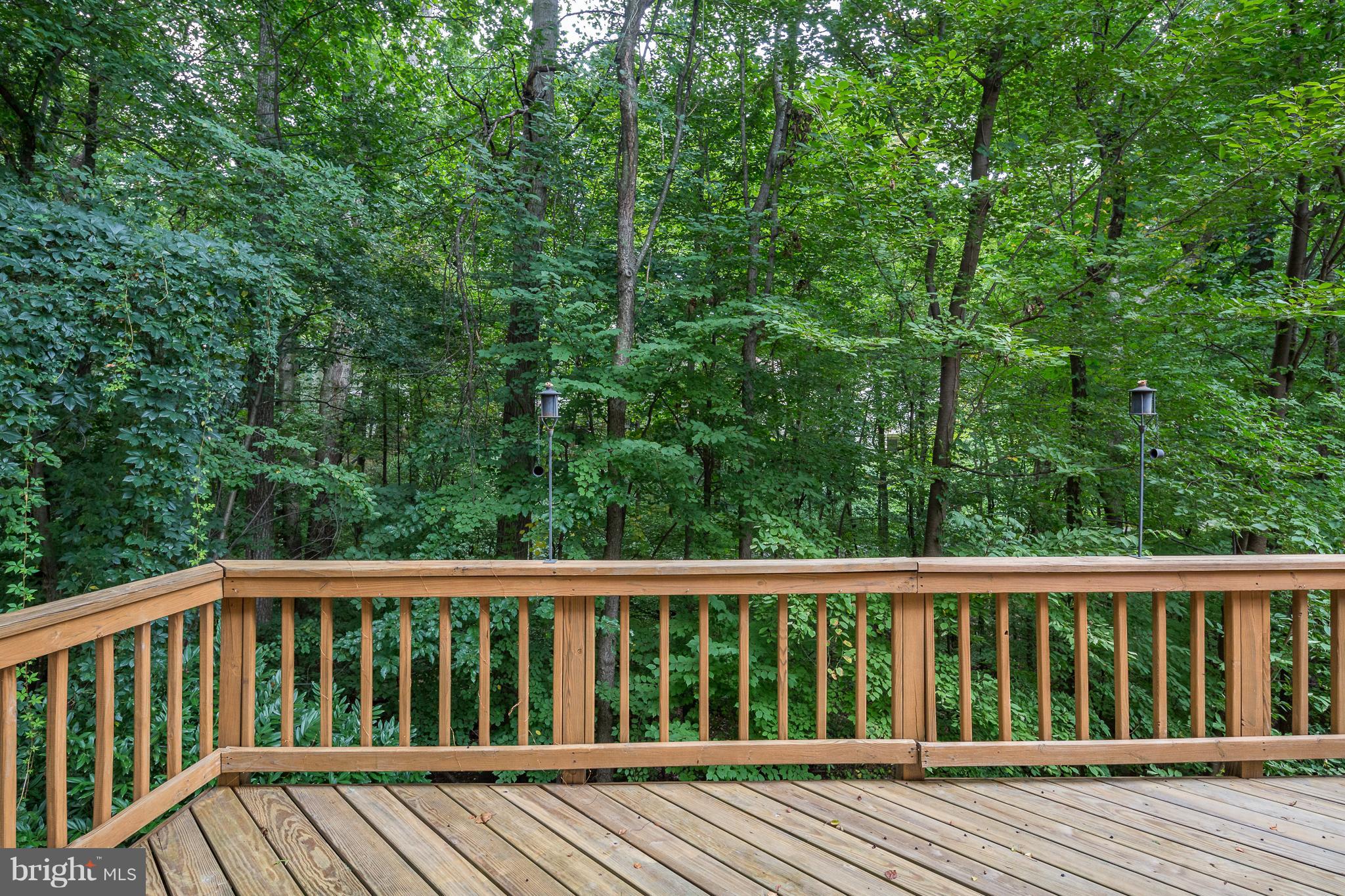 11284 Fairwind Way Reston, VA 20190 - Photo 12 of 29 Exterior (Rear)