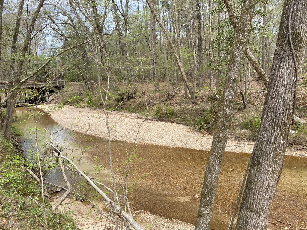 6338 Quinton Road McCall Creek, MS 39647 - Photo 17 of 17 Creek