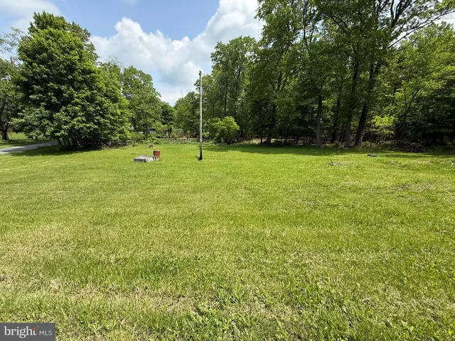 a view of a field with tall trees