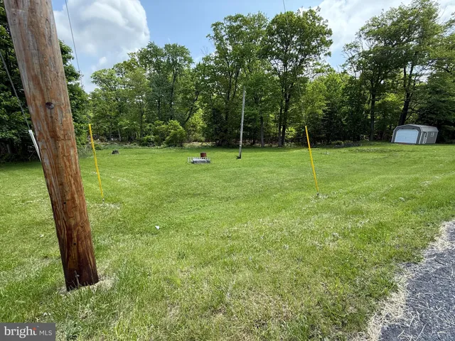 a view of a backyard with a trees