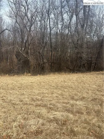 a view of yard