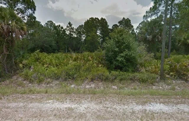 $43,000 | 665 South Olivo Street, Clewiston, FL 33440