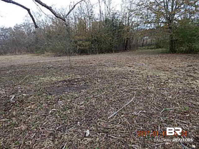 16640 Dawson Road Loxley, AL 36551 - Photo 5 of 10 Land View