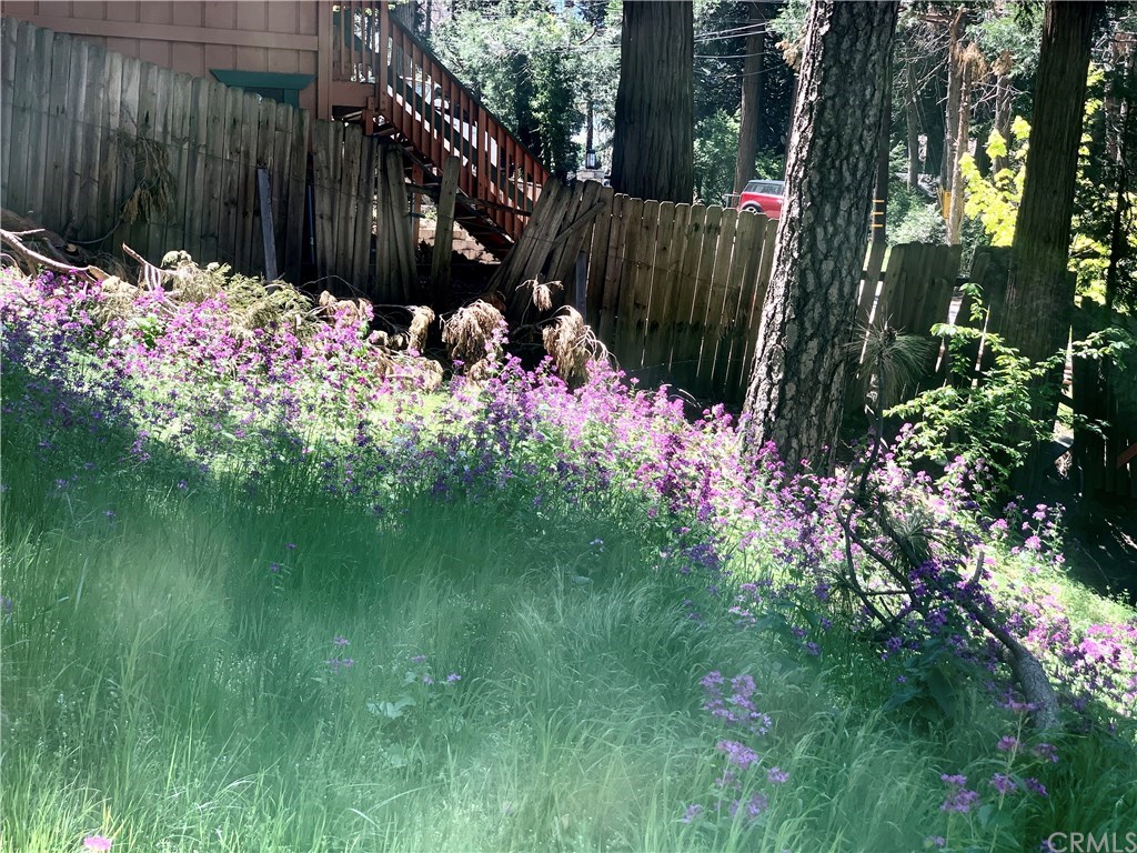 817 Big Oak Road Crestline, CA 92325 - Photo 24 of 24