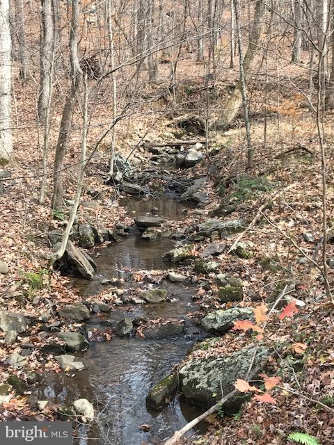 Frogtown Road Bluemont, VA 20135 - Photo 1 of 6 Strong creek in the woods )
