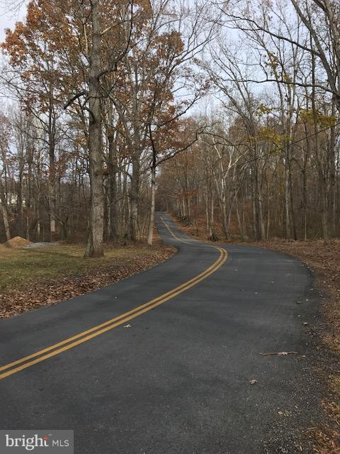 Frogtown Road Bluemont, VA 20135 - Photo 2 of 6 Paved state road