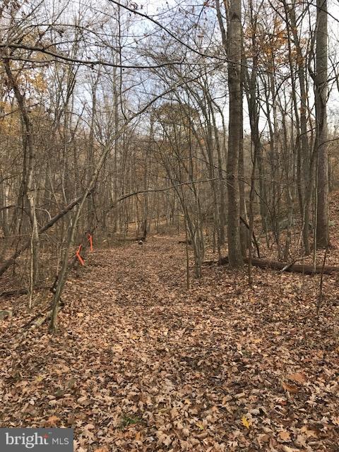 Frogtown Road Bluemont, VA 20135 - Photo 4 of 6 Old road bed leading to property
