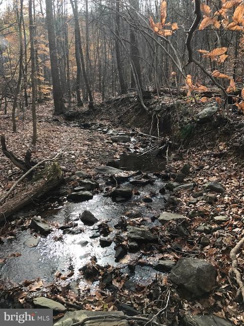 Frogtown Road Bluemont, VA 20135 - Photo 5 of 6 Creek