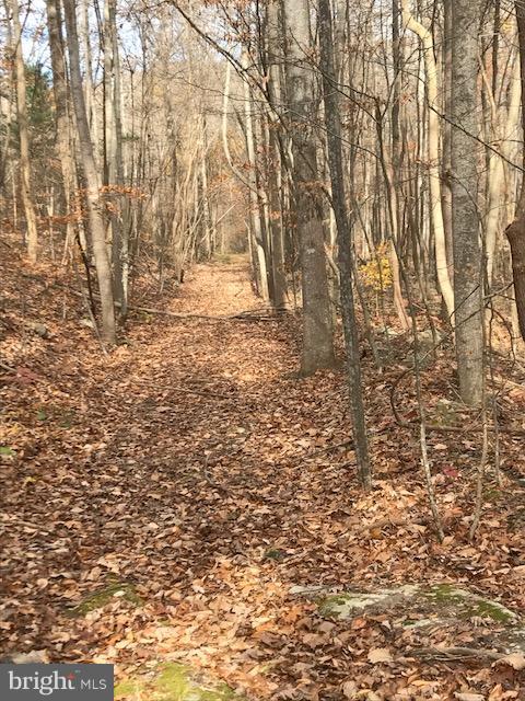 Frogtown Road Bluemont, VA 20135 - Photo 6 of 6 Beautiful walking path