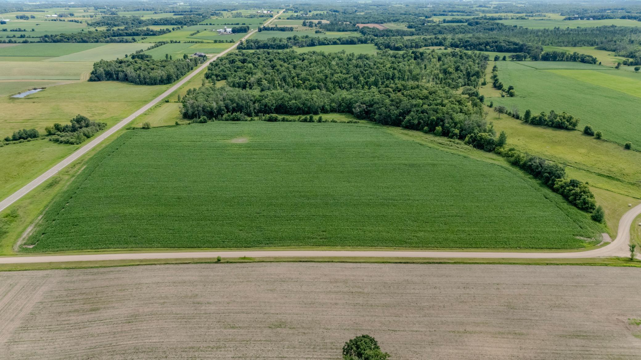 Tbd Cardinal Road Swanville, MN 56382 - Photo 2 of 16