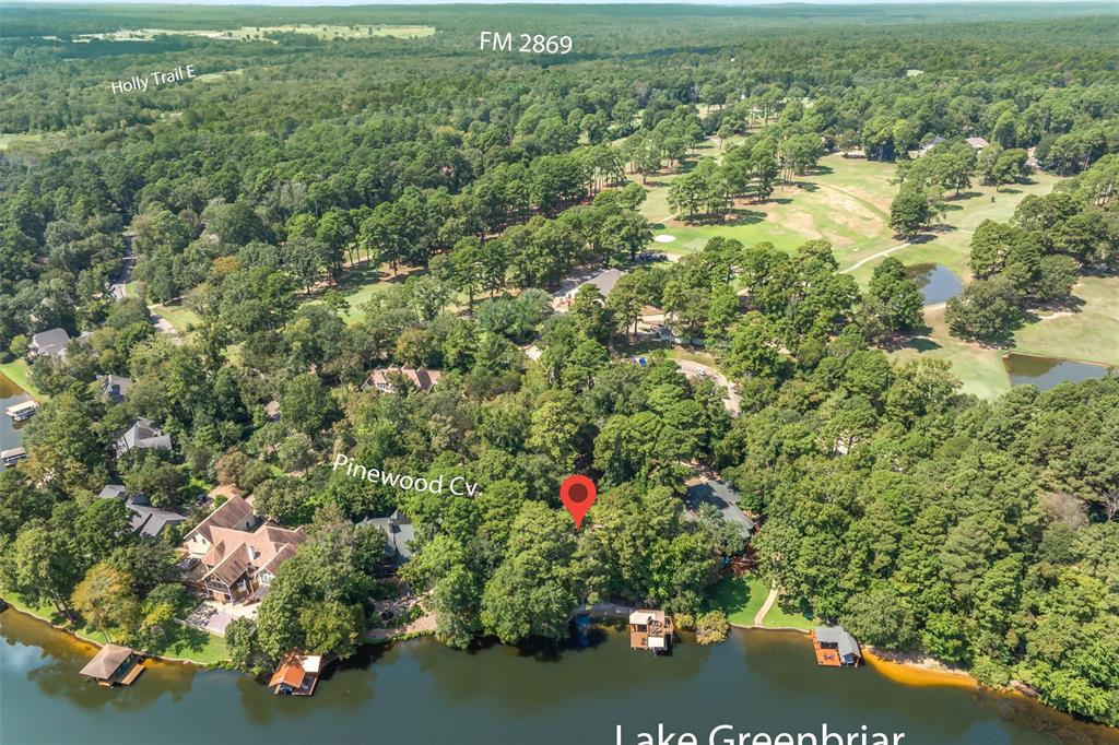 148 Pinewood Cove Holly Lake Ranch, TX 75765 - Photo 40 of 40