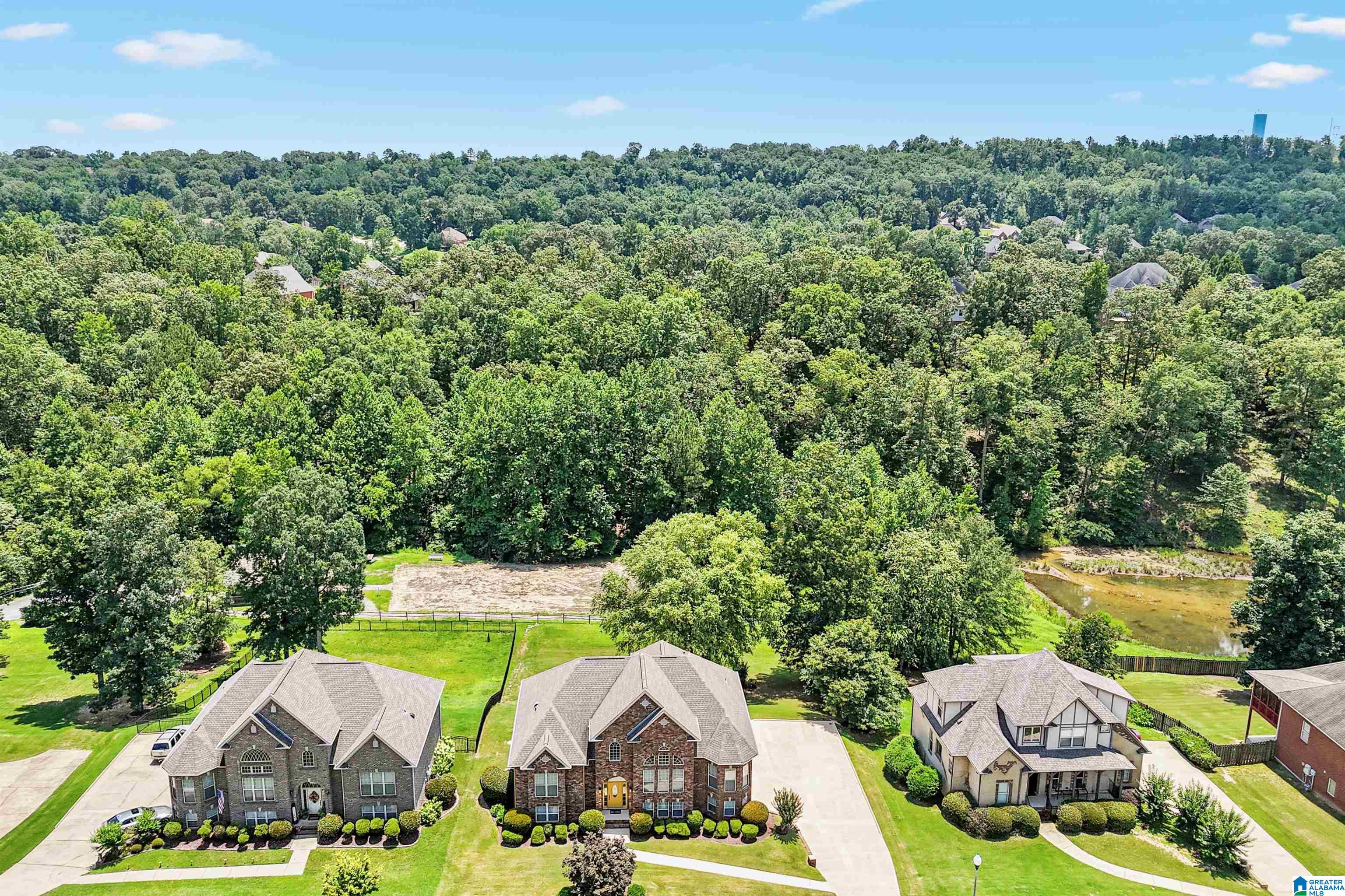 2816 Aster Lake Road Helena, AL 35022 - Photo 3 of 53