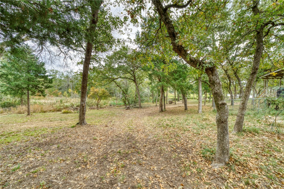10232 Riley Green Road Franklin, TX 77856 - Photo 11 of 40 a view of a yard with a tree