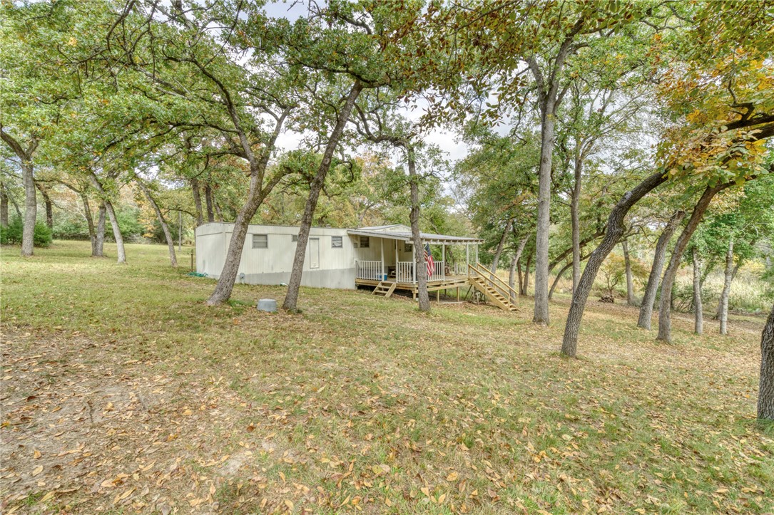 10232 Riley Green Road Franklin, TX 77856 - Photo 13 of 40 a view of a yard with a tree