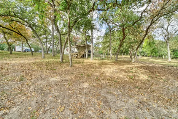 a view of a yard with trees