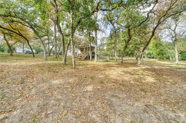 a view of a yard with trees