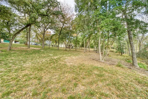 a view of a tree in a yard