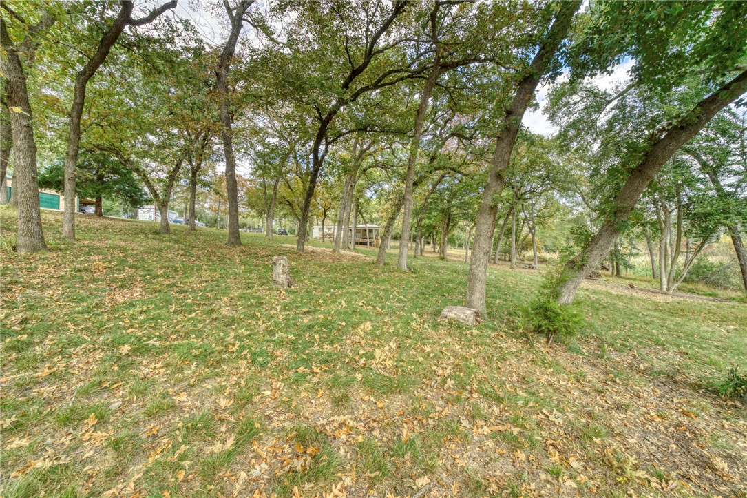 10232 Riley Green Road Franklin, TX 77856 - Photo 18 of 40 a view of yard with large trees