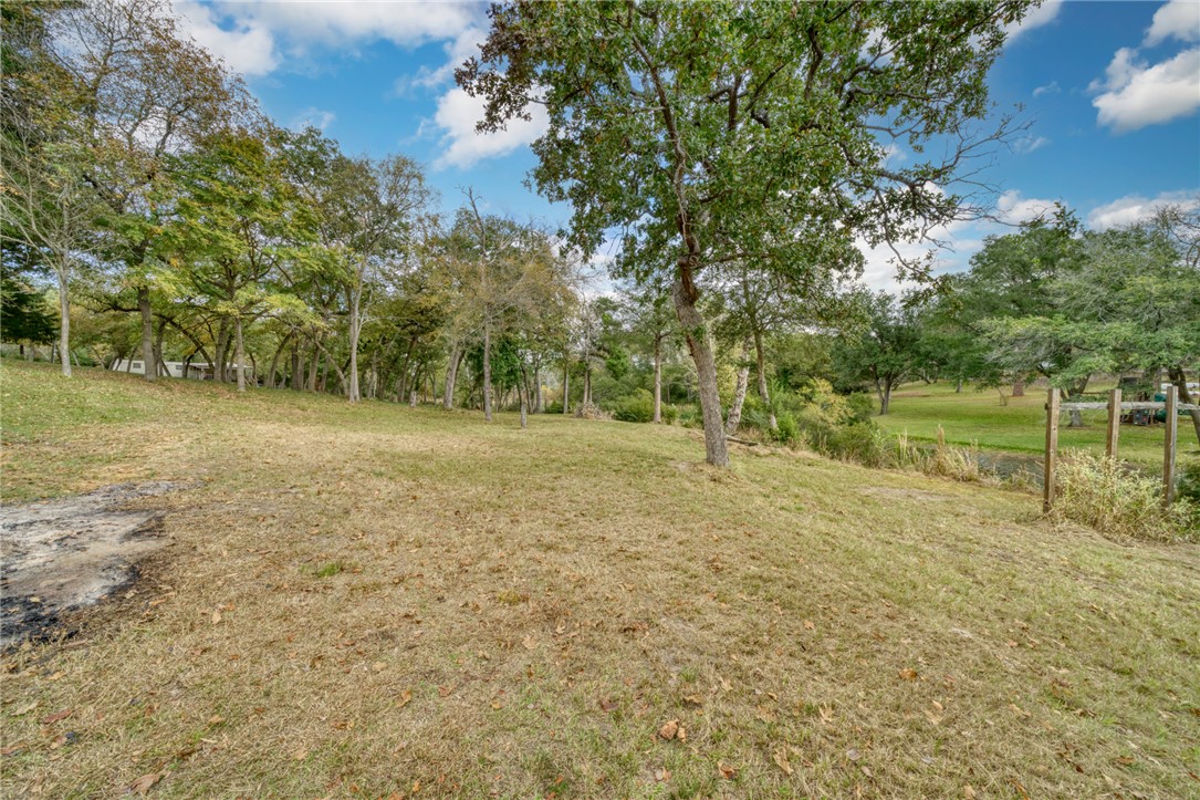 10232 Riley Green Road Franklin, TX 77856 - Photo 21 of 40 a view of a field with trees in the background