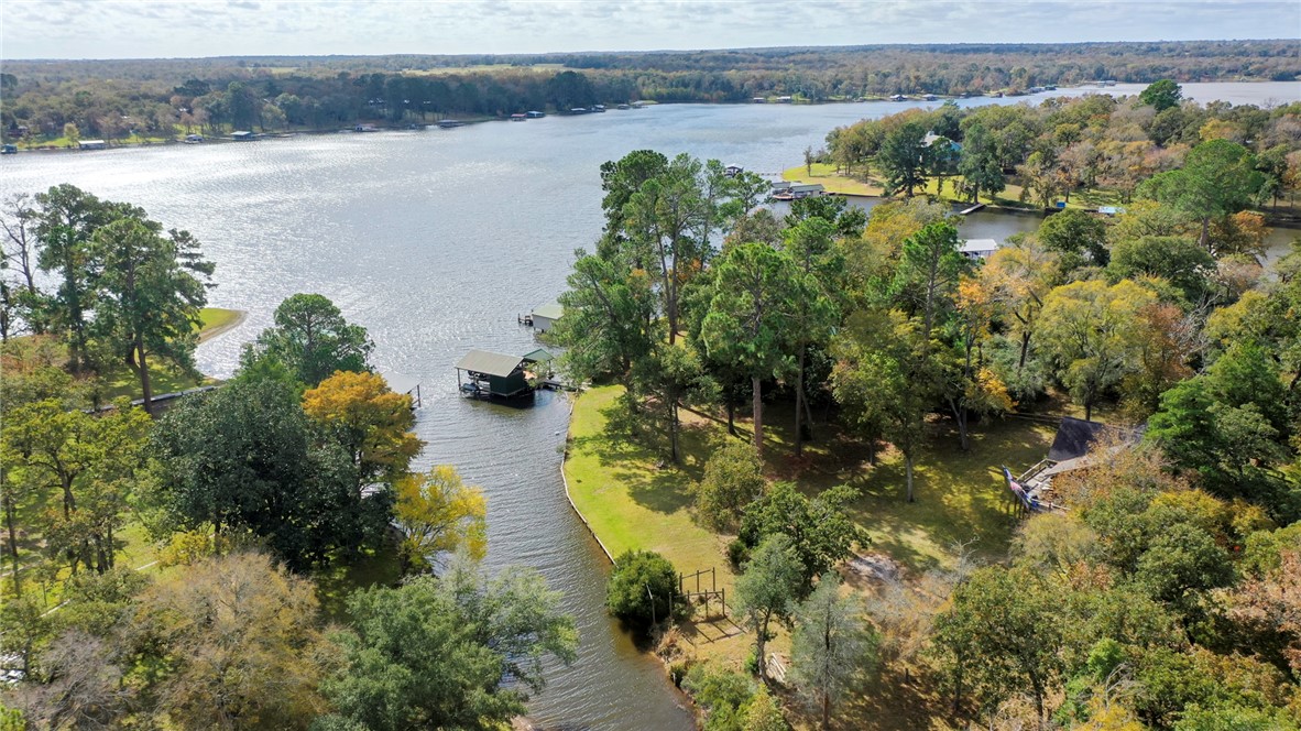 10232 Riley Green Road Franklin, TX 77856 - Photo 3 of 40 a view of a lake with a houses