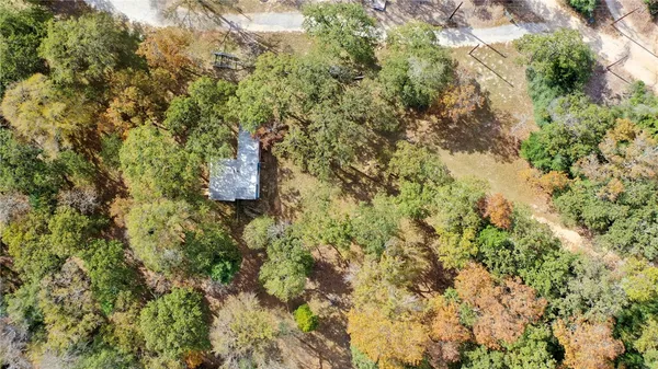 a view of a yard with a plants and tree