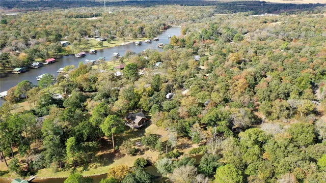 a close up of a plant