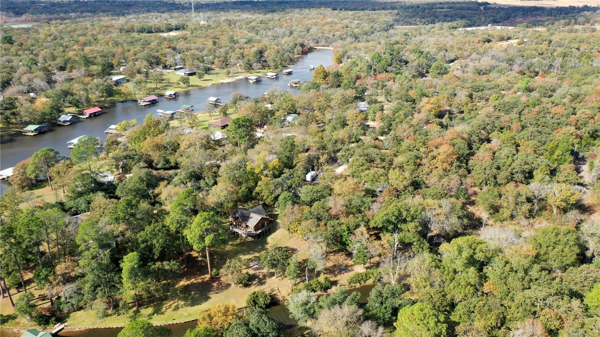10232 Riley Green Road Franklin, TX 77856 - Photo 34 of 40 a view of a yard with a plants and tree