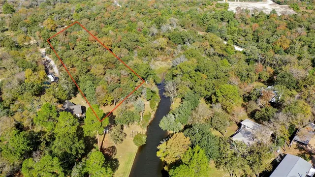 a close up of a plant with a garden