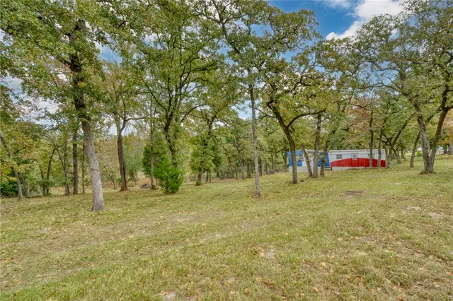a view of outdoor space with trees