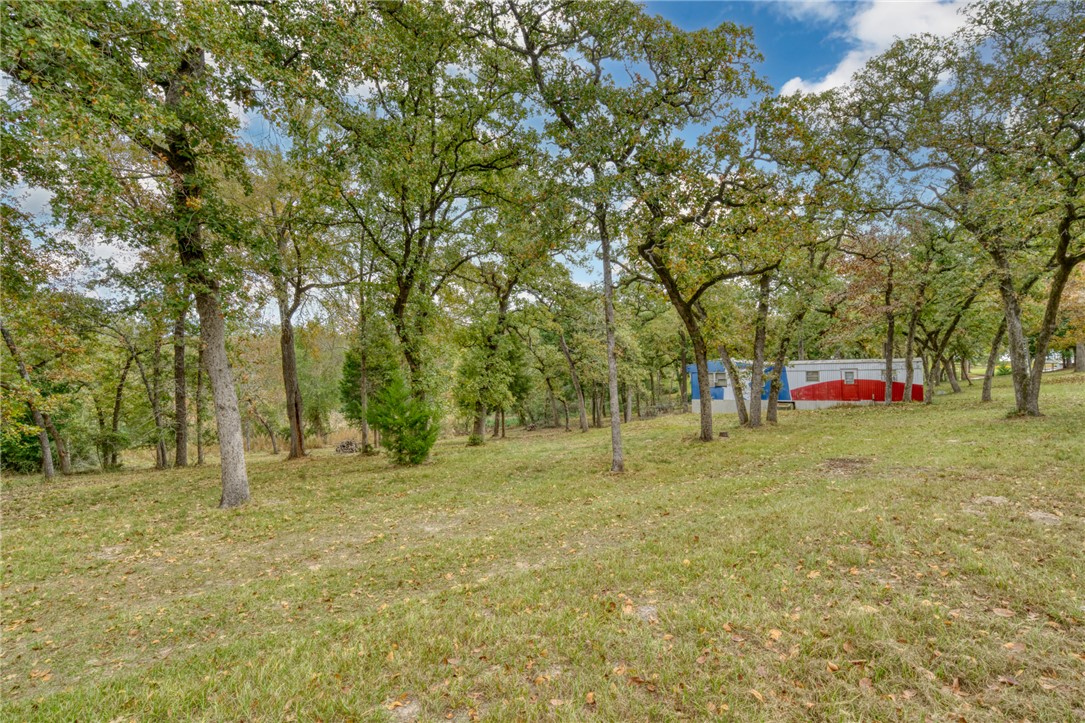 10232 Riley Green Road Franklin, TX 77856 - Photo 8 of 40 a view of park with trees
