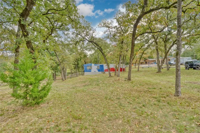 a view of a yard with a tree