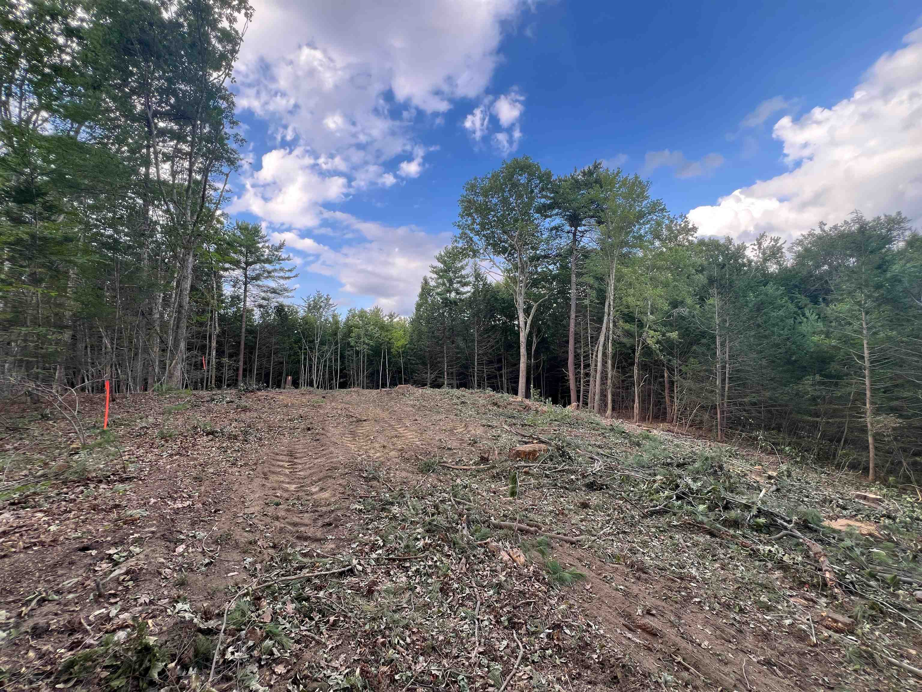 5 Partridge Path Sandown, NH 03873 - Photo 5 of 6 Gallery Image 5