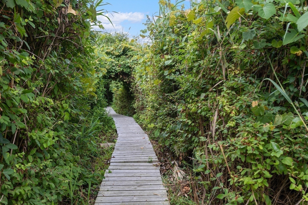 324 Hatherly Road Scituate, MA 02066 - Photo 15 of 15 a view of a pathway of a garden