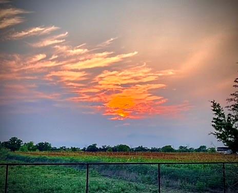 6482 County Road 321 Valley View, TX 76272 - Photo 38 of 40
