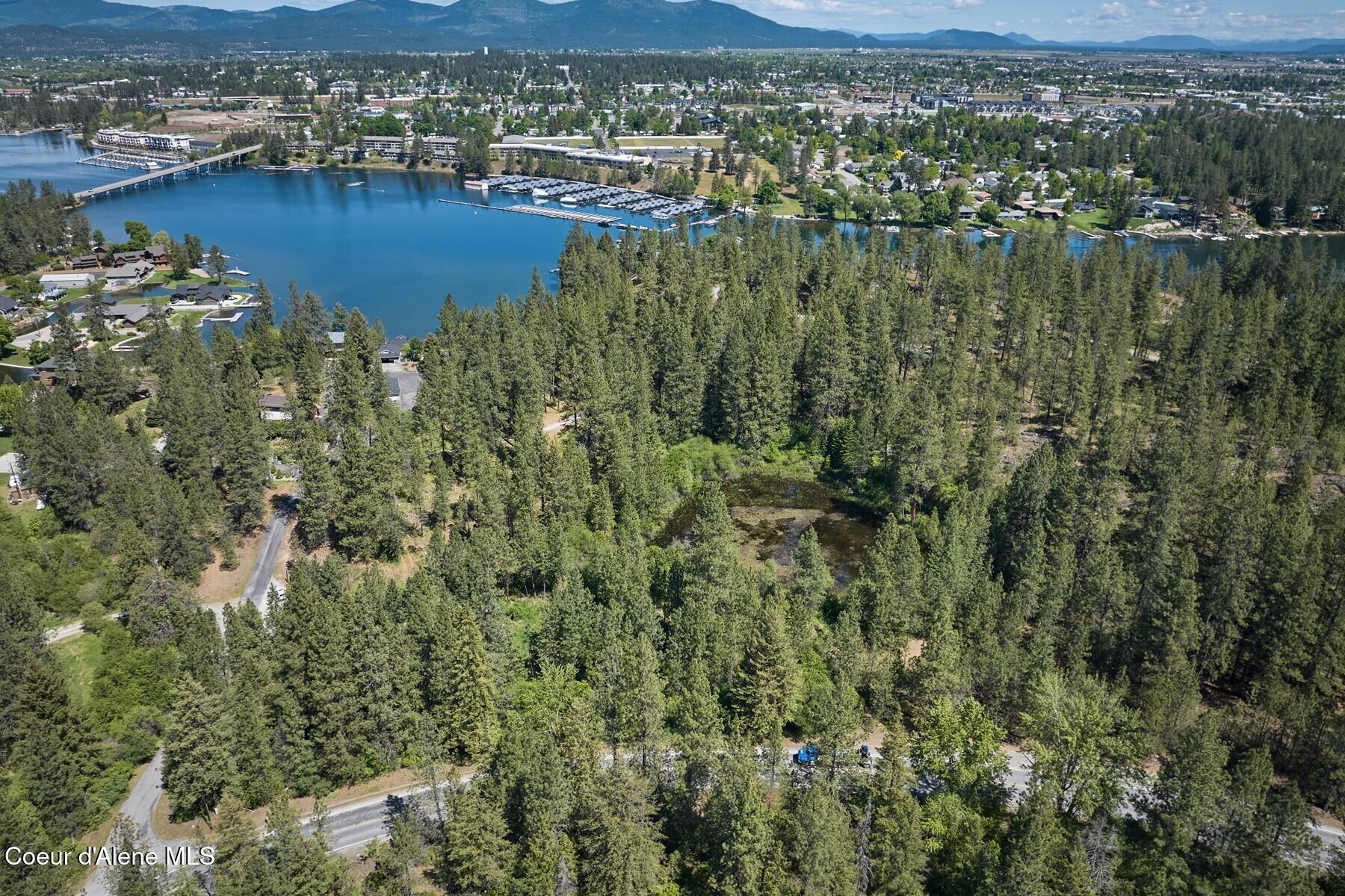 291 Simonsen Road Post Falls, ID 83854 - Photo 60 of 86 060_full_Simonsen rd_Parcel C_09