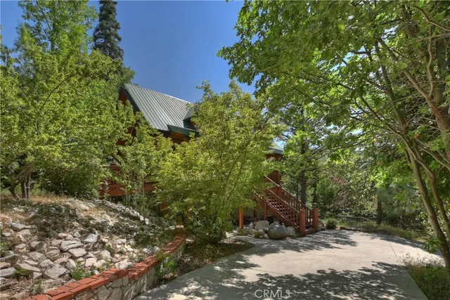 a view of the flowers