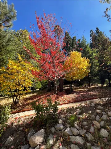 a backyard of a house with lots of green space
