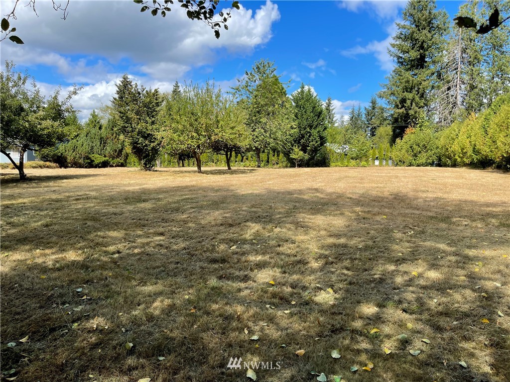 376 Dluhosh Road Onalaska, WA 98570 - Photo 20 of 27 Gallery Image 20