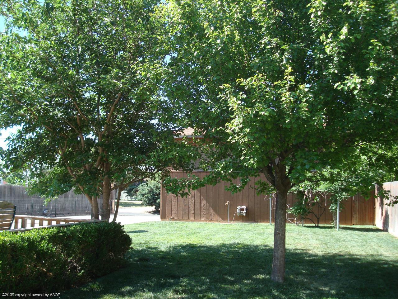 5100 Navajo Trail Amarillo, TX 79110 - Photo 20 of 23 a view of a tree in a yard