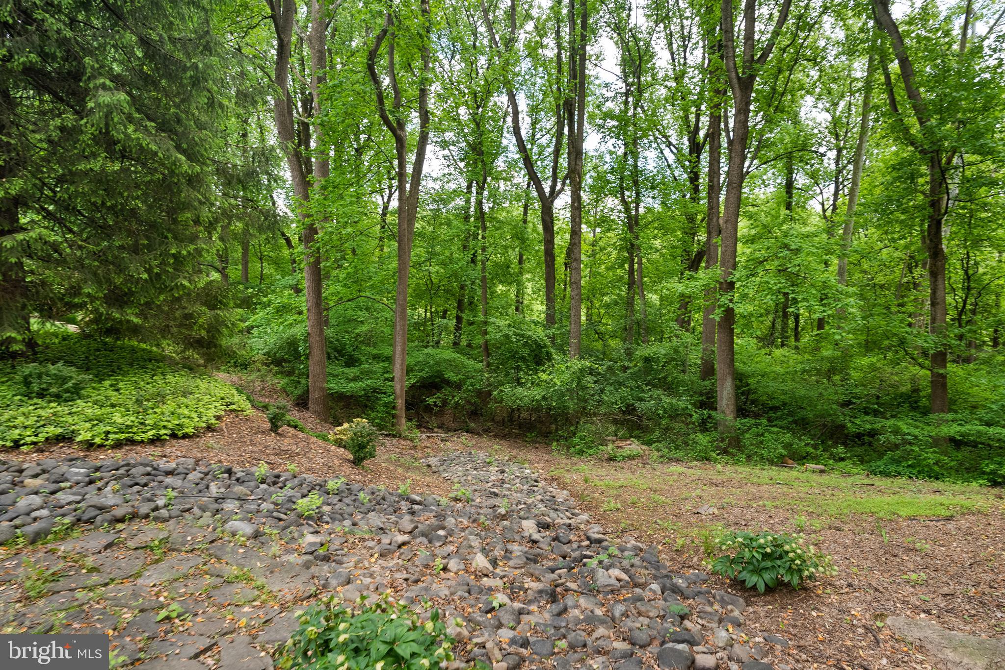 11201 Farmland Drive Rockville, MD 20852 - Photo 52 of 57