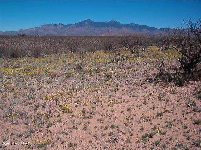 258 Camino Josefina, Unit 24 Rio Rico, AZ 85648 - Photo 4 of 4