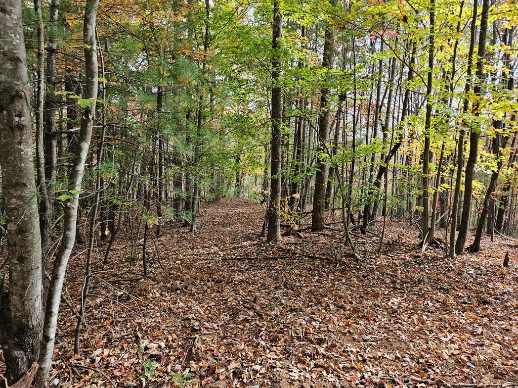 125 Ahart Ridge Road, Unit 381001 Cana, VA 24317 - Photo 21 of 59 Gallery Image 21