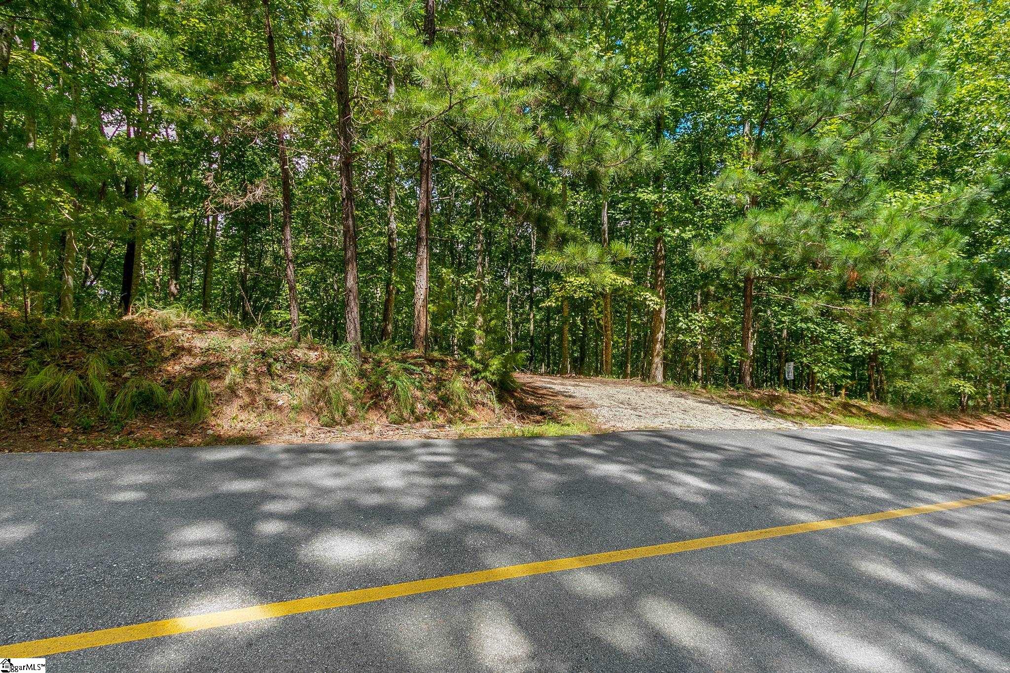 521 South Point Boulevard Sunset, SC 29685 - Photo 3 of 12