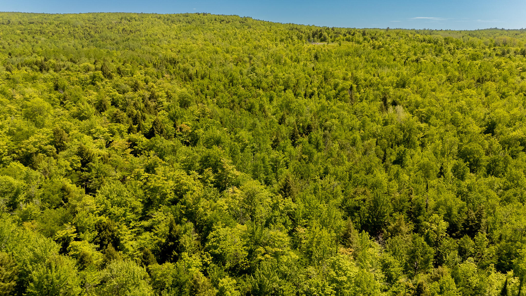 16 Beach View Road Dover-Foxcroft, ME 04426 - Photo 45 of 56 DJI_20260603140326_0580_D