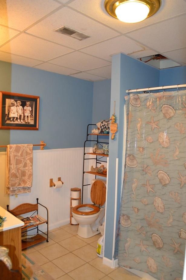1074 Sable Road Spring City, TN 37381 - Photo 9 of 20 Watt8