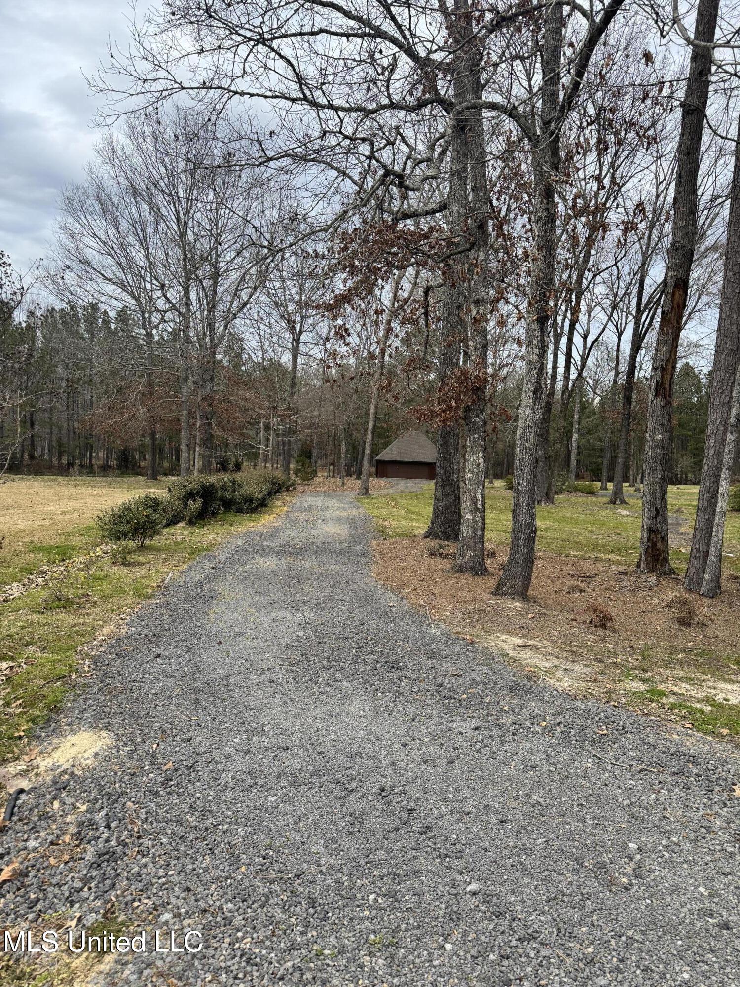 Fountains Cove Brandon, MS 39047 - Photo 1 of 10 IMG_0077