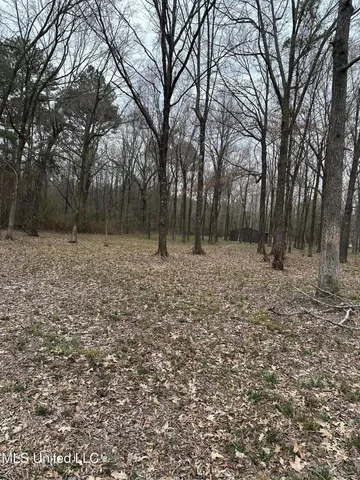 $440,000 | Fountains Cove, Brandon, MS 39047